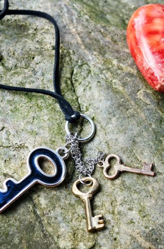 Accessoires